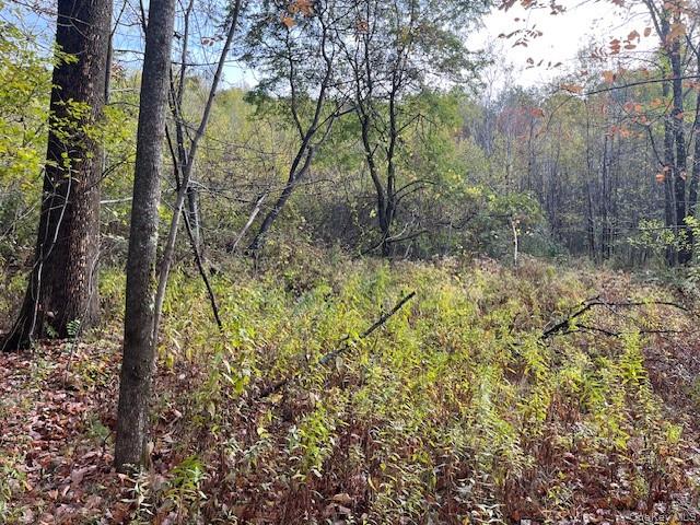 Ferndale Loomis Road NE