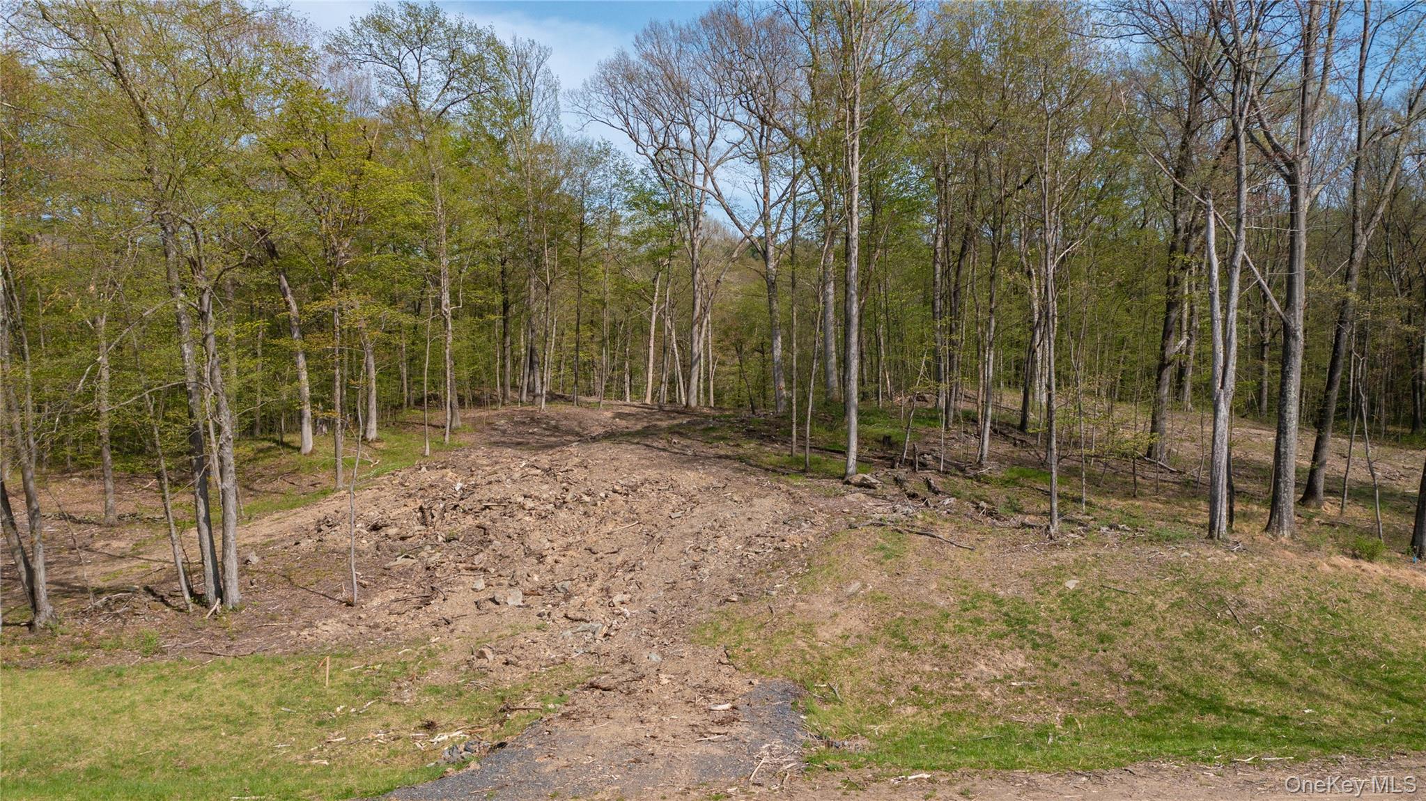 Red Hook, New York 12571, United States, ,Land,Active,122467