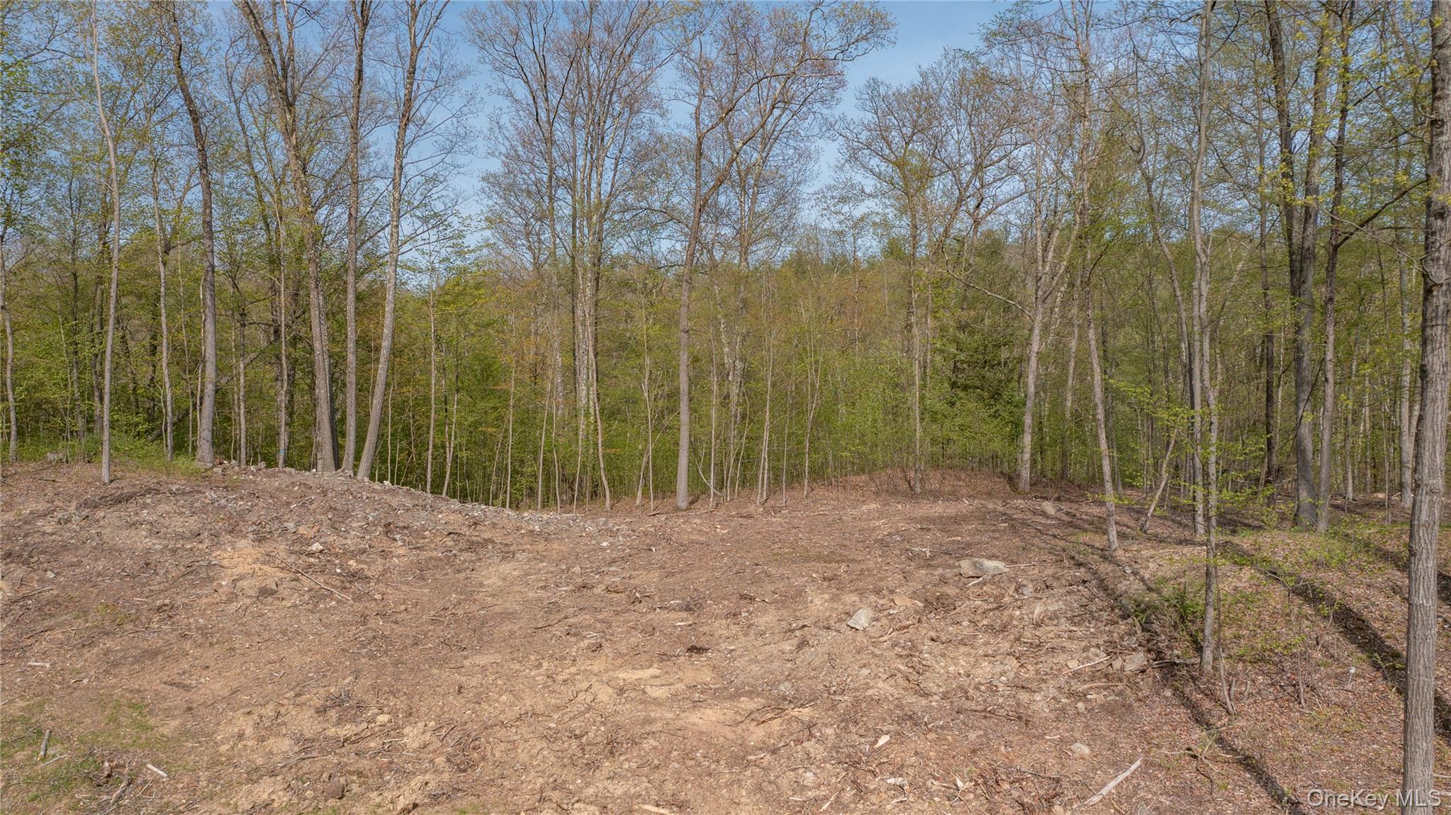 Red Hook, New York 12571, United States, ,Land,Active,122467