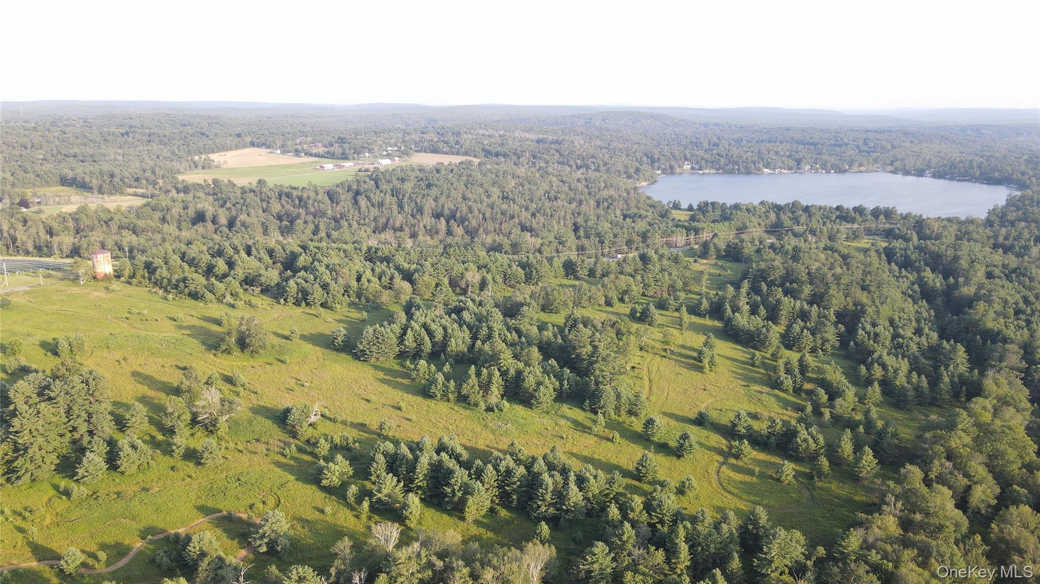 324 Acres Sackett Lake Road