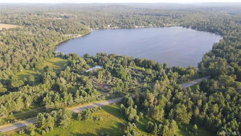 324 Acres Sackett Lake Road Monticello NY 12701