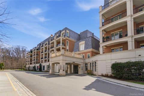 3000 Royal Court 3102 New Hyde Park NY 11040