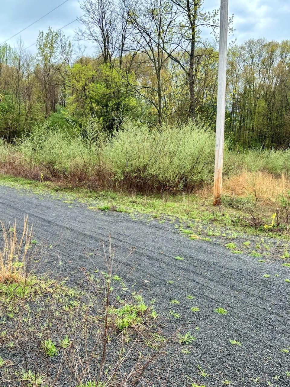 Ashley Drive - Lot 5, Rosendale, New York image 7