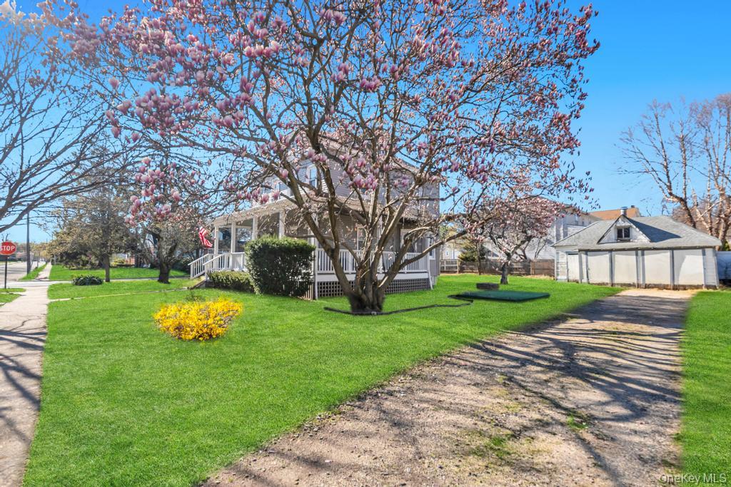 237 Willow Street - Photo 3