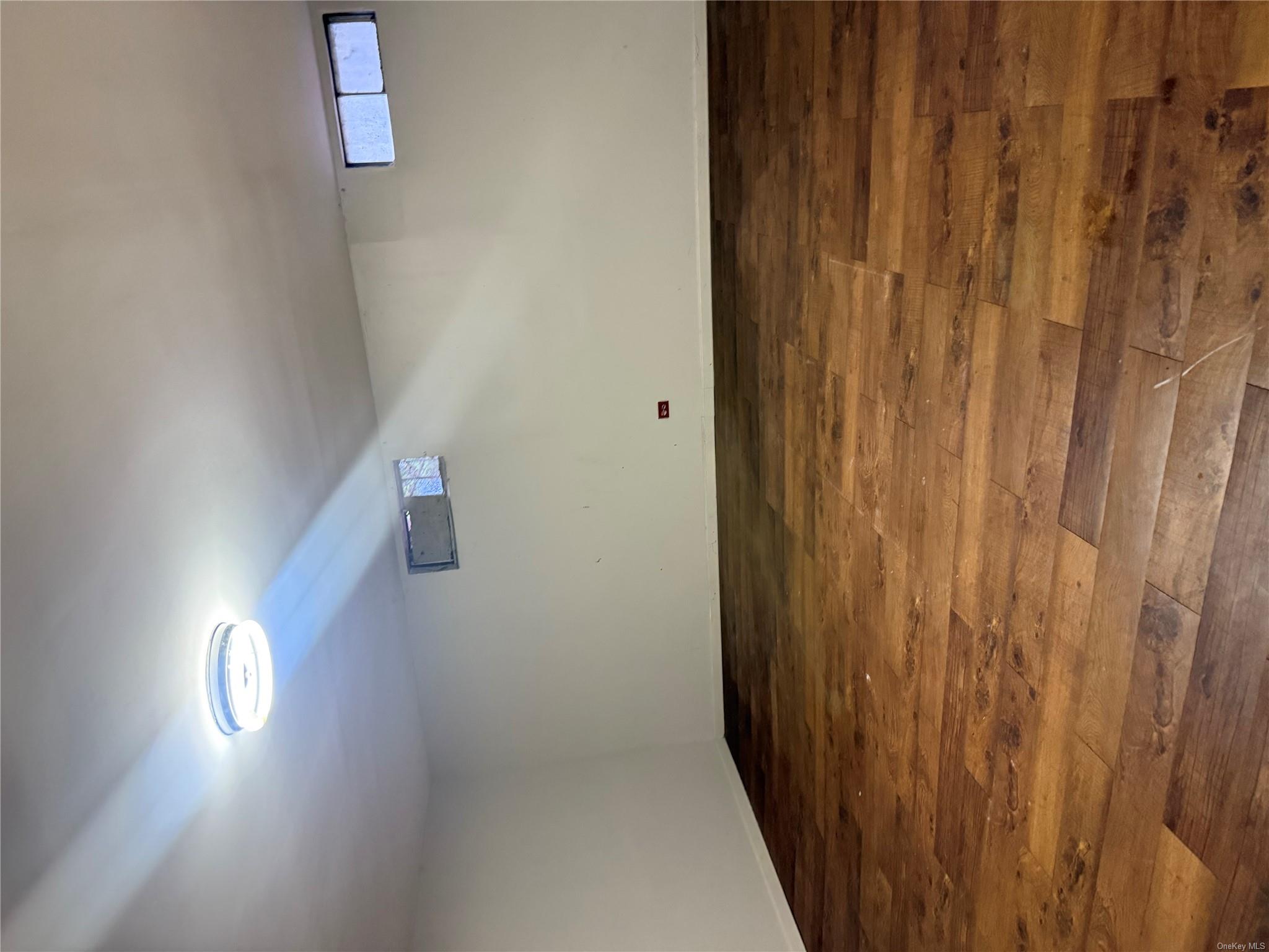 244 Grafton Street, Brooklyn, New York image 4