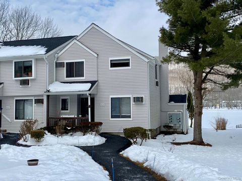 404 Mountain Laurel Drive Monroe NY 10950