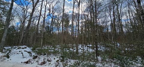 Vacant Land For Sale - LOT 82 Perry Pond Road<br/> Sullivan County, Narrowsburg, NY 12764