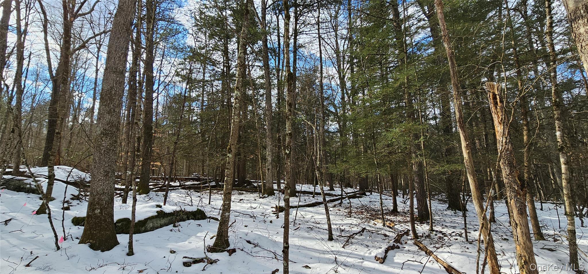 Lot 82 Perry Pond Road