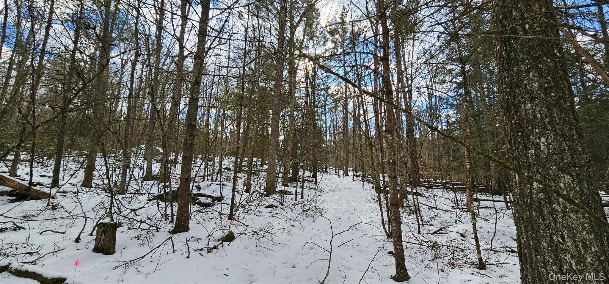 Lot 82 Perry Pond Road