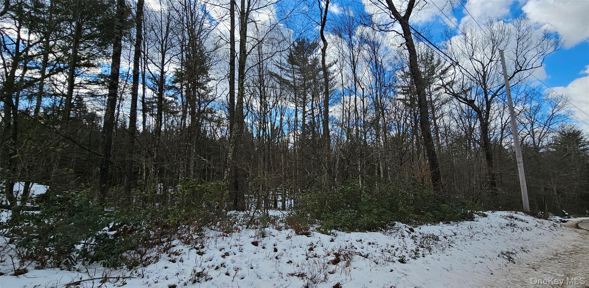Lot 82 Perry Pond Road