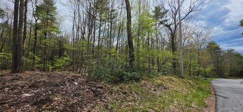 Vacant Land For Sale - LOT 82 Perry Pond Road<br/> Narrowsburg, NY 12764