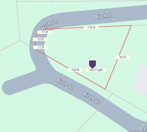 Birch Street Bloomingburg NY 12721