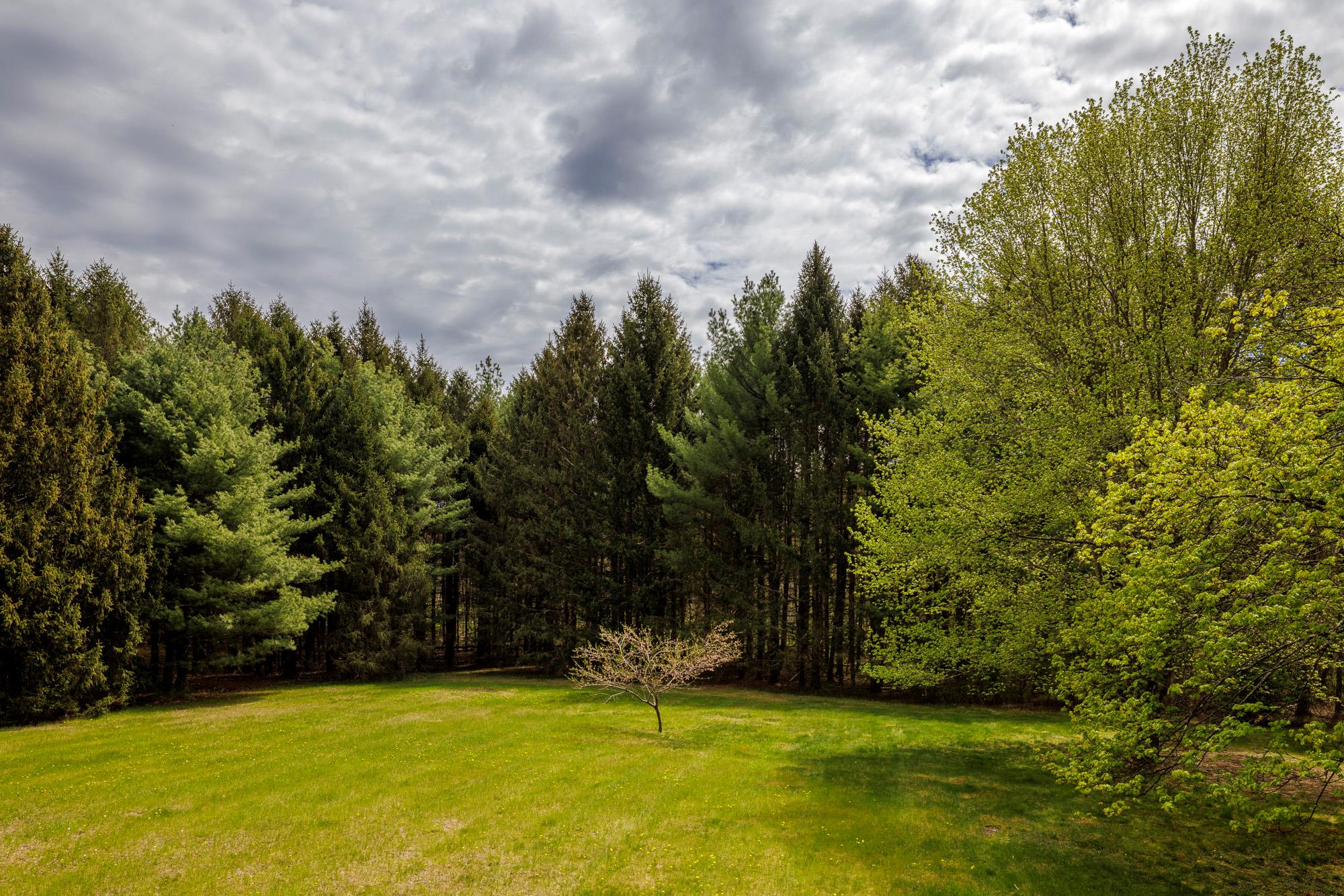 599 Old Wurtemburg Road, Rhinebeck, New York image 24