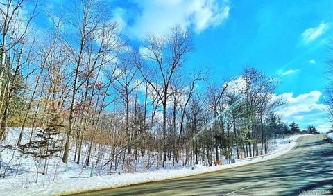 Vacant Land For Sale - 574 Sleepy Hollow Road<br/> Greene County, Athens, NY 12015