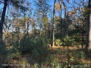 Photo of Reichel Road, Hurley, NY 12443 (MLS # 1064414)