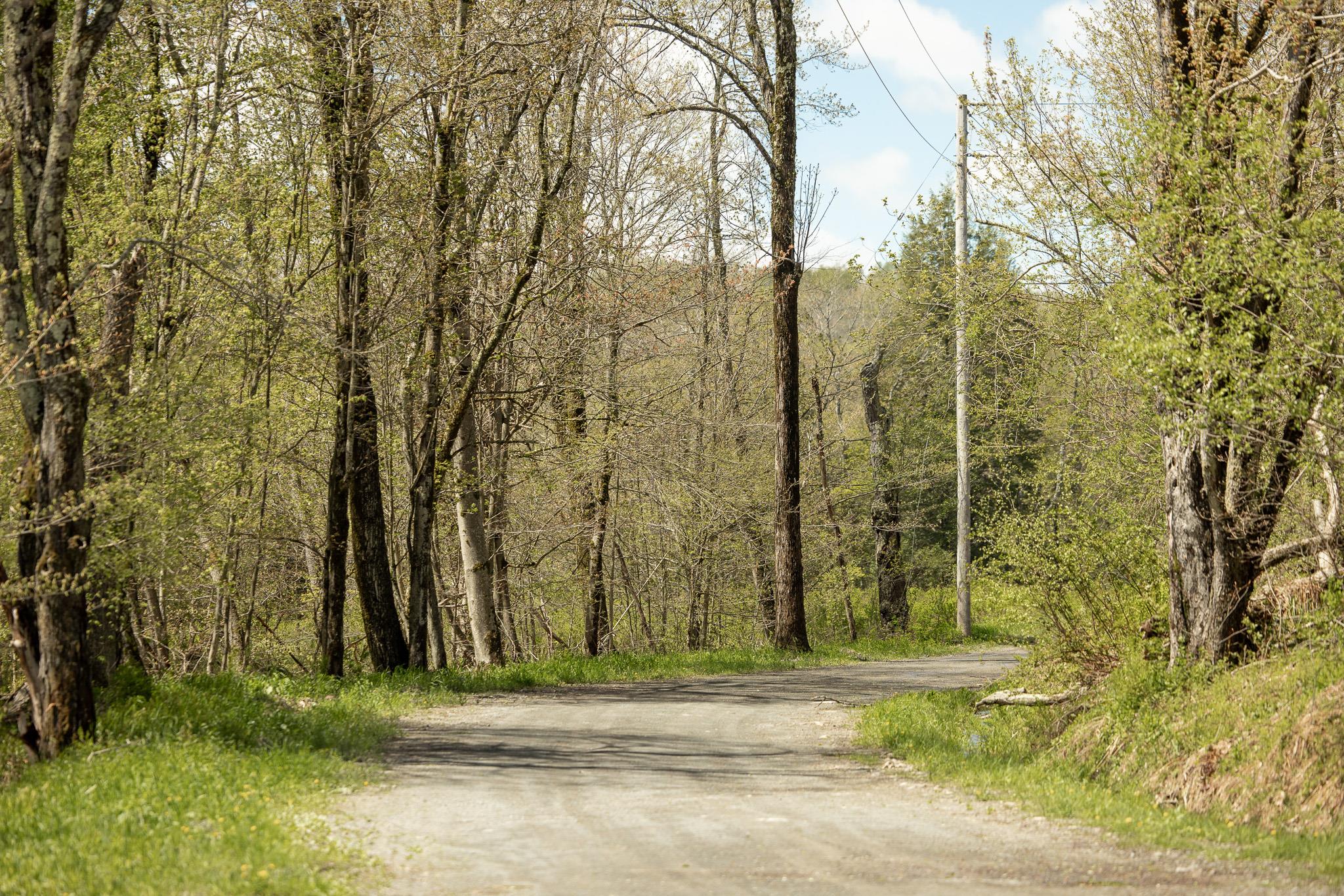 235 Terwilliger Road, Livingston Manor, New York image 23