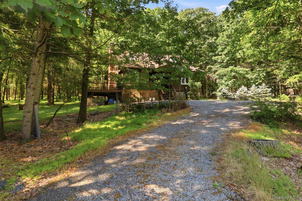 Photo of 91 Airport Road, Eldred, NY 12732 (MLS # 1021387)