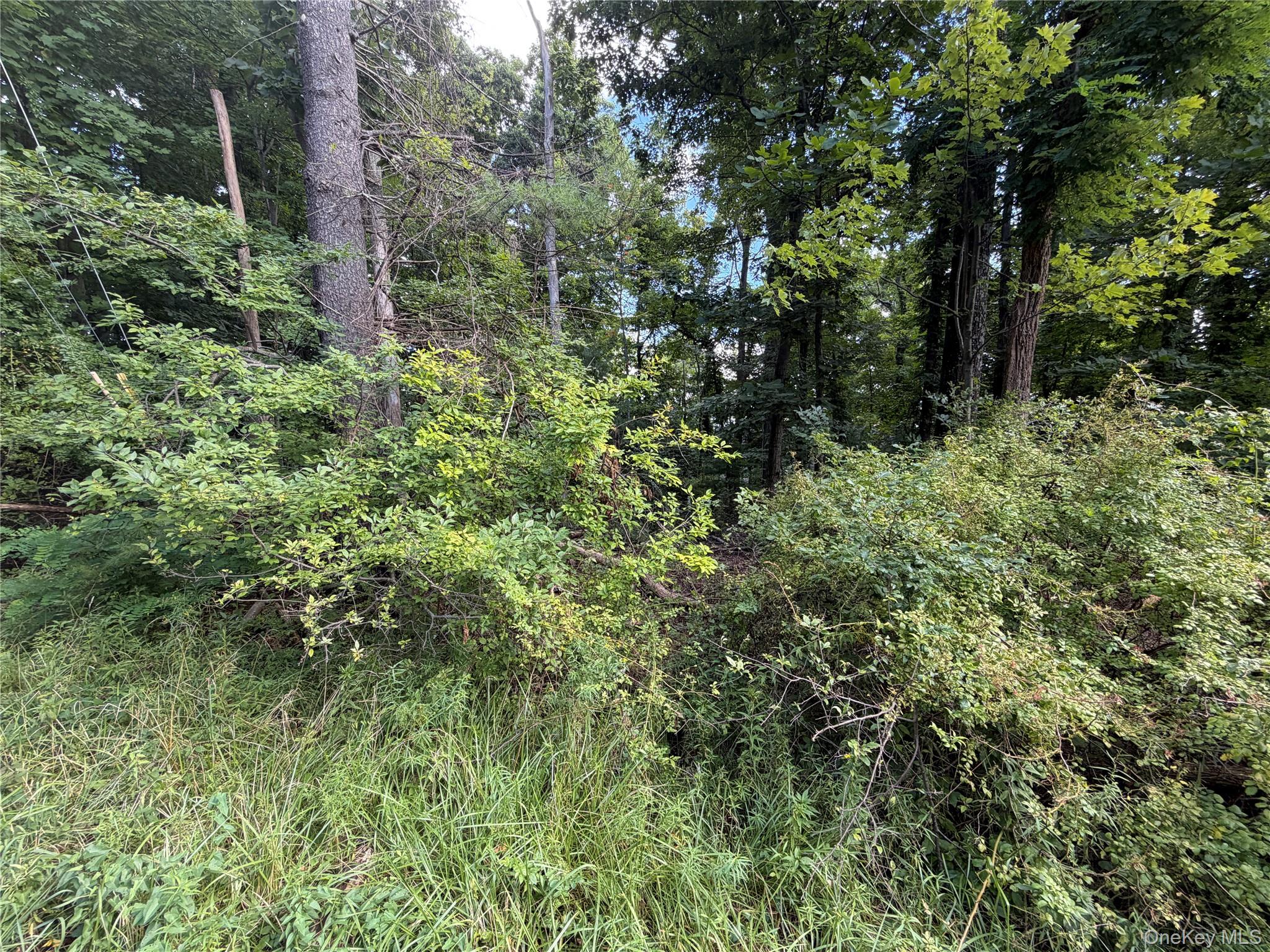 Lot 20.1 Mt Prosper Road