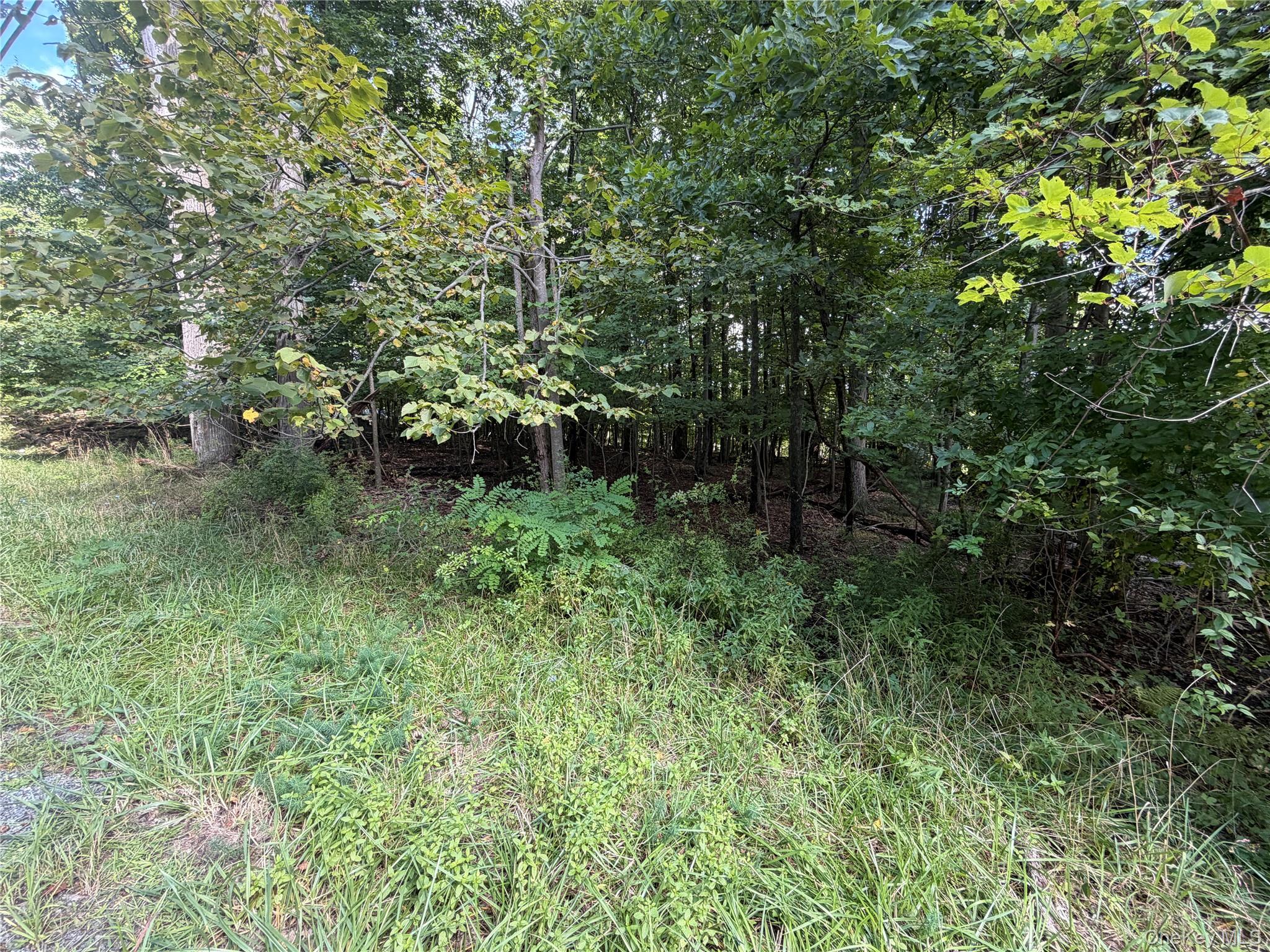 Lot 20.1 Mt Prosper Road