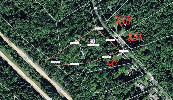 42 LUDINGTONVILLE RD, HOLMES, NY 12531 - Image 8a0d36174f2d71bbdf557b11d0c62ef5/215013237