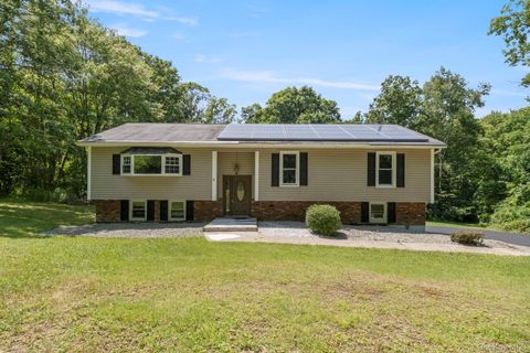 Photo of 35 Penaluna Road, Monroe, NY 10950 (MLS # 1029220)