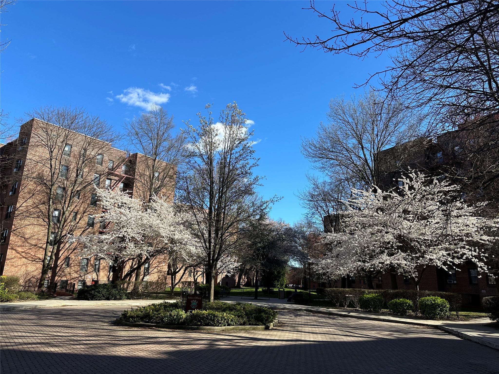 15030 71st Ave Ave #1G, Flushing, New York image 25