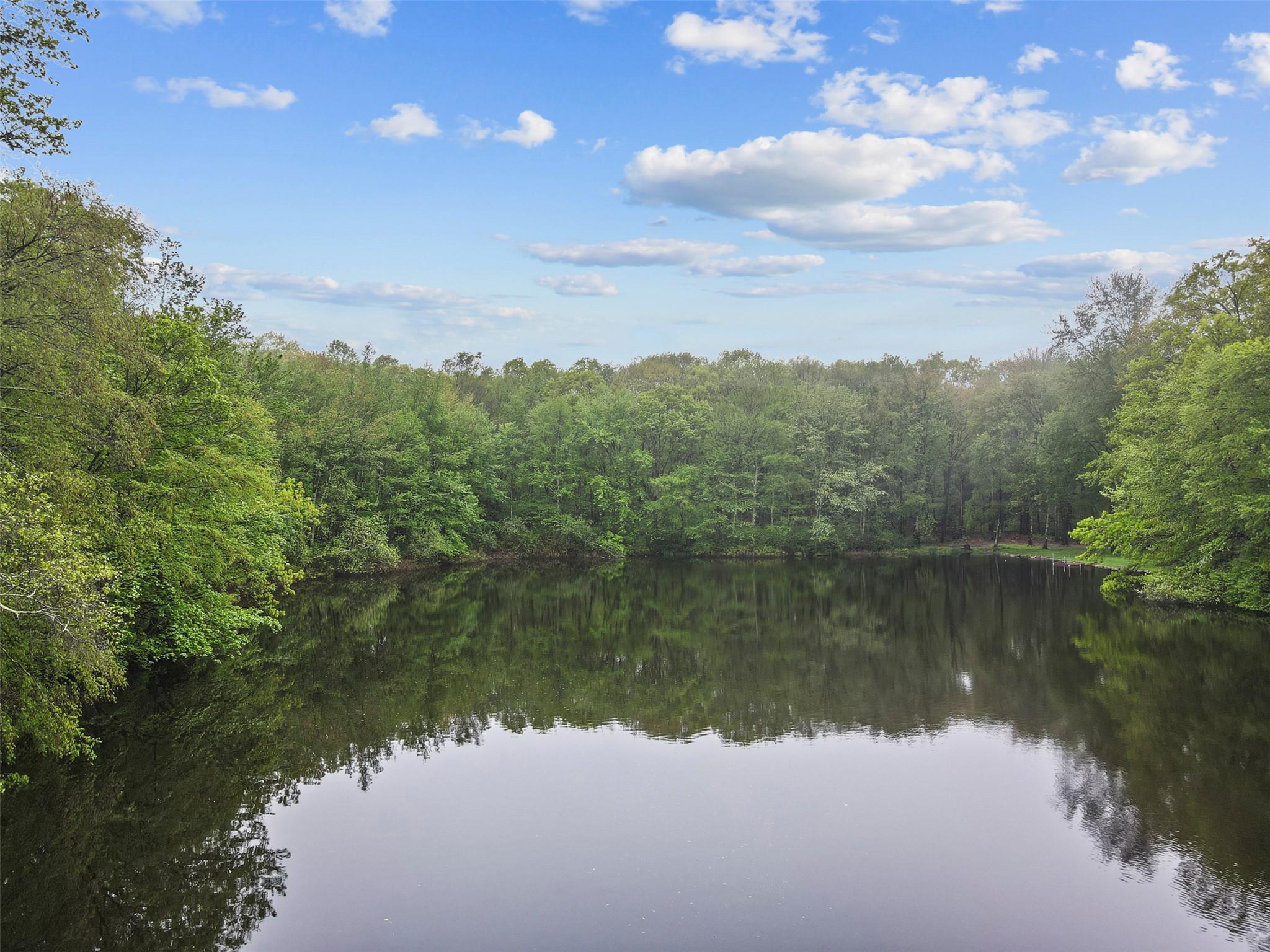 8 N Hemlock Hill Road, Pound Ridge, Florida image 28