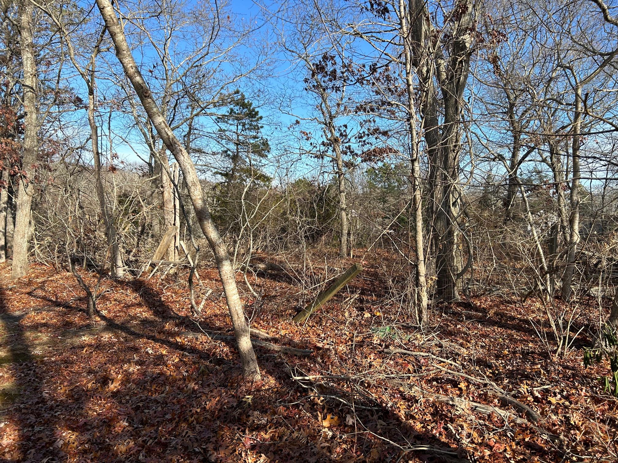 267 Old Country Road, Eastport, New York image 6