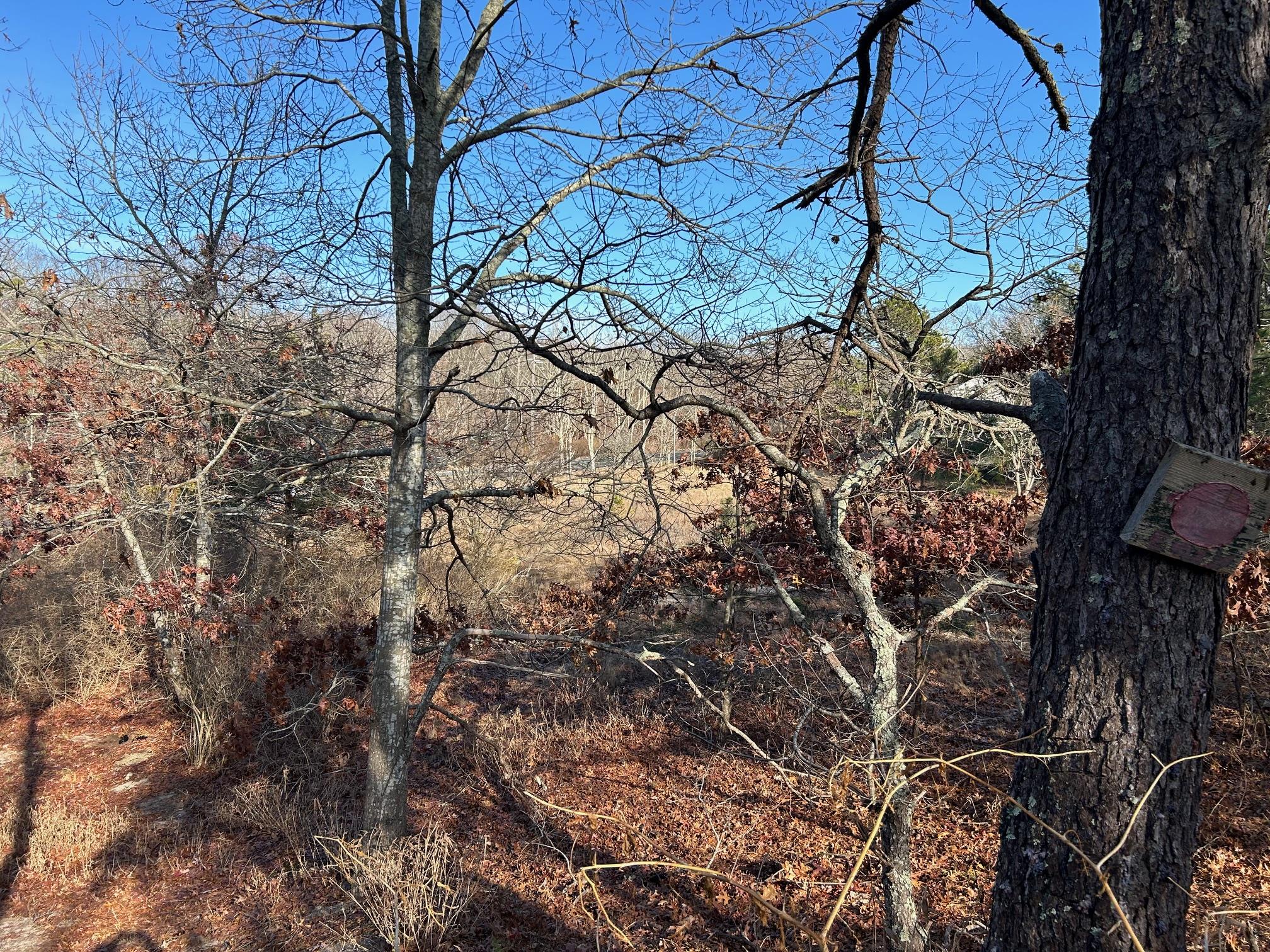 267 Old Country Road, Eastport, New York image 8