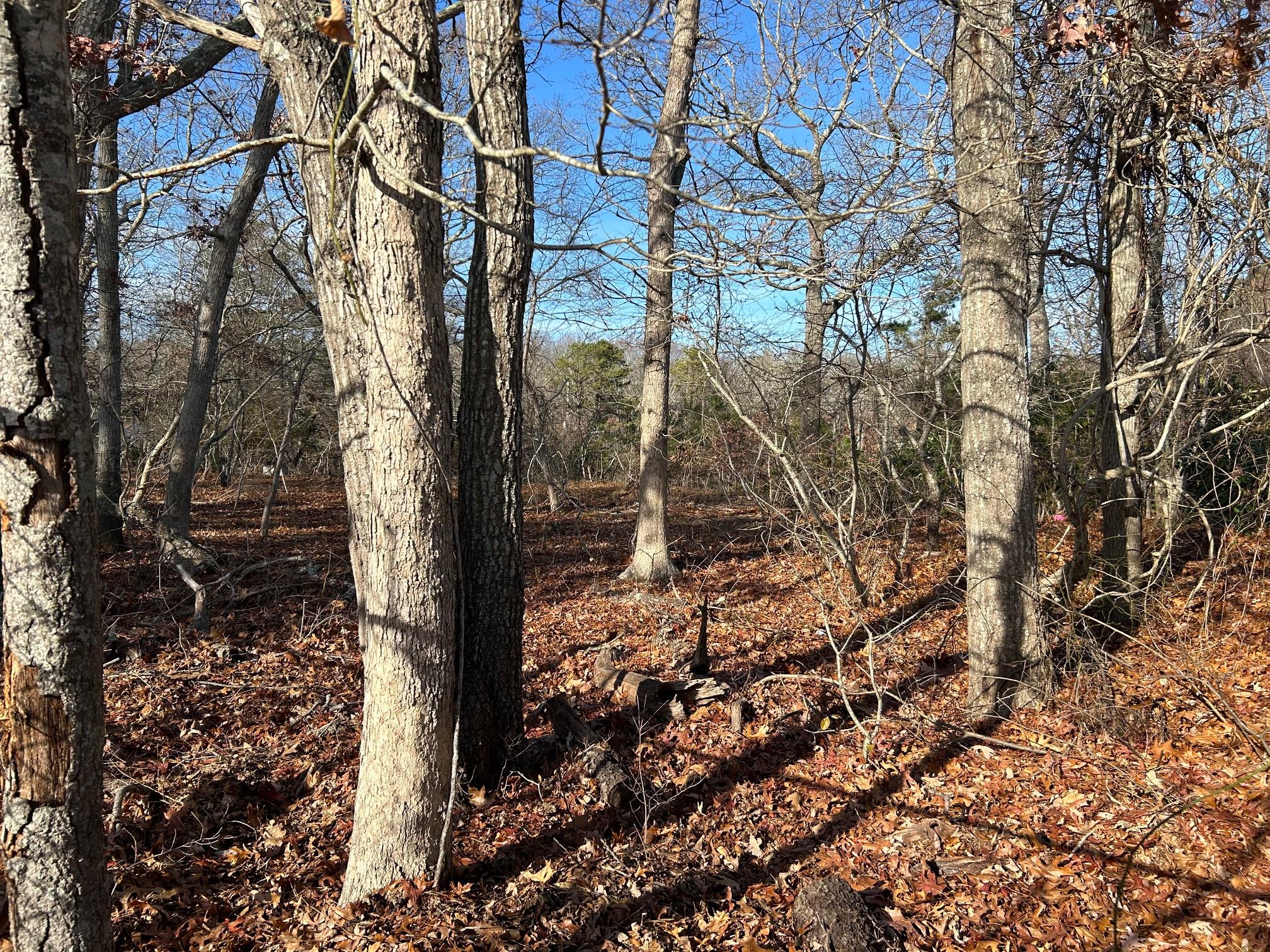 267 Old Country Road, Eastport, New York image 4