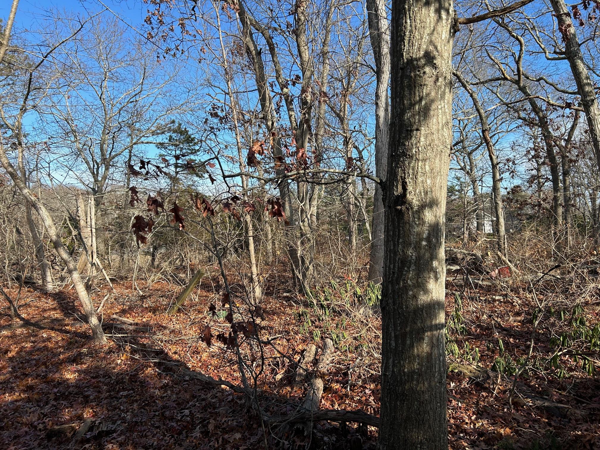267 Old Country Road, Eastport, New York image 5