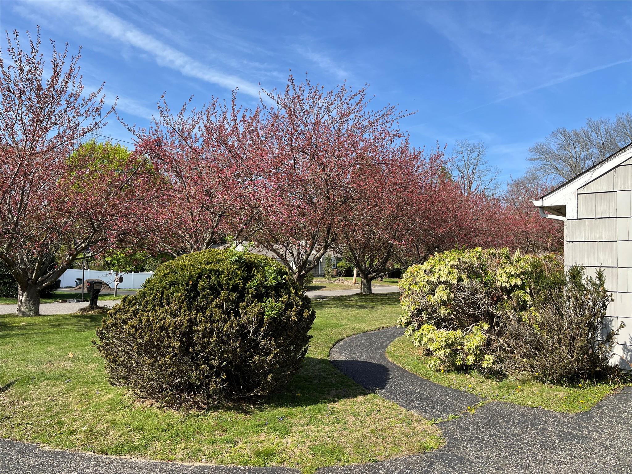 11 Acorn Lane, Stony Brook, New York image 5