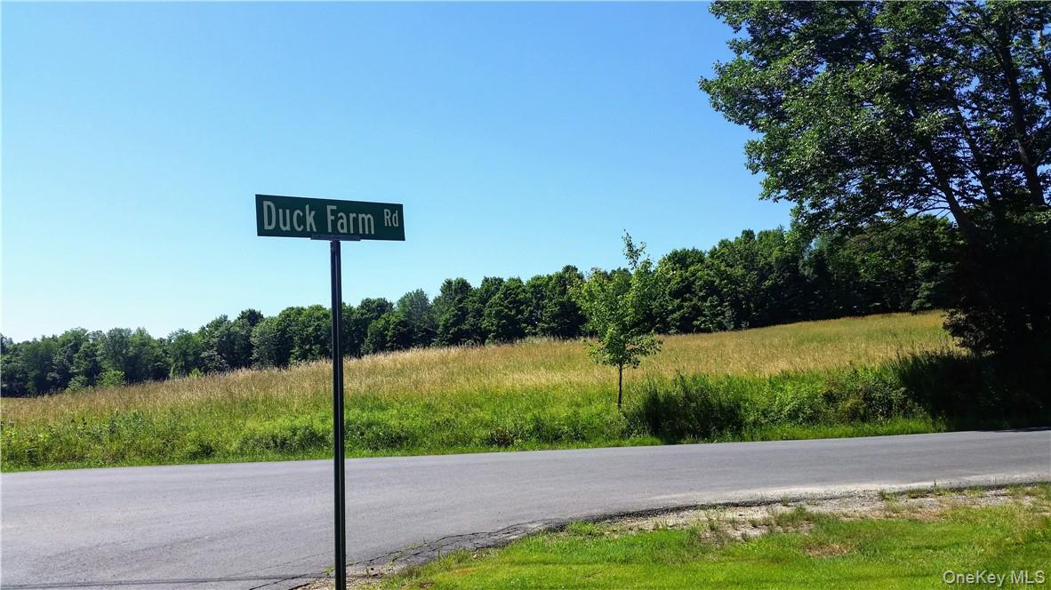 TBD Old Chester & Duck Farm Road