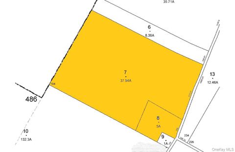 Lot 7 & 8 Terwilliger Road Livingston Manor NY 12758