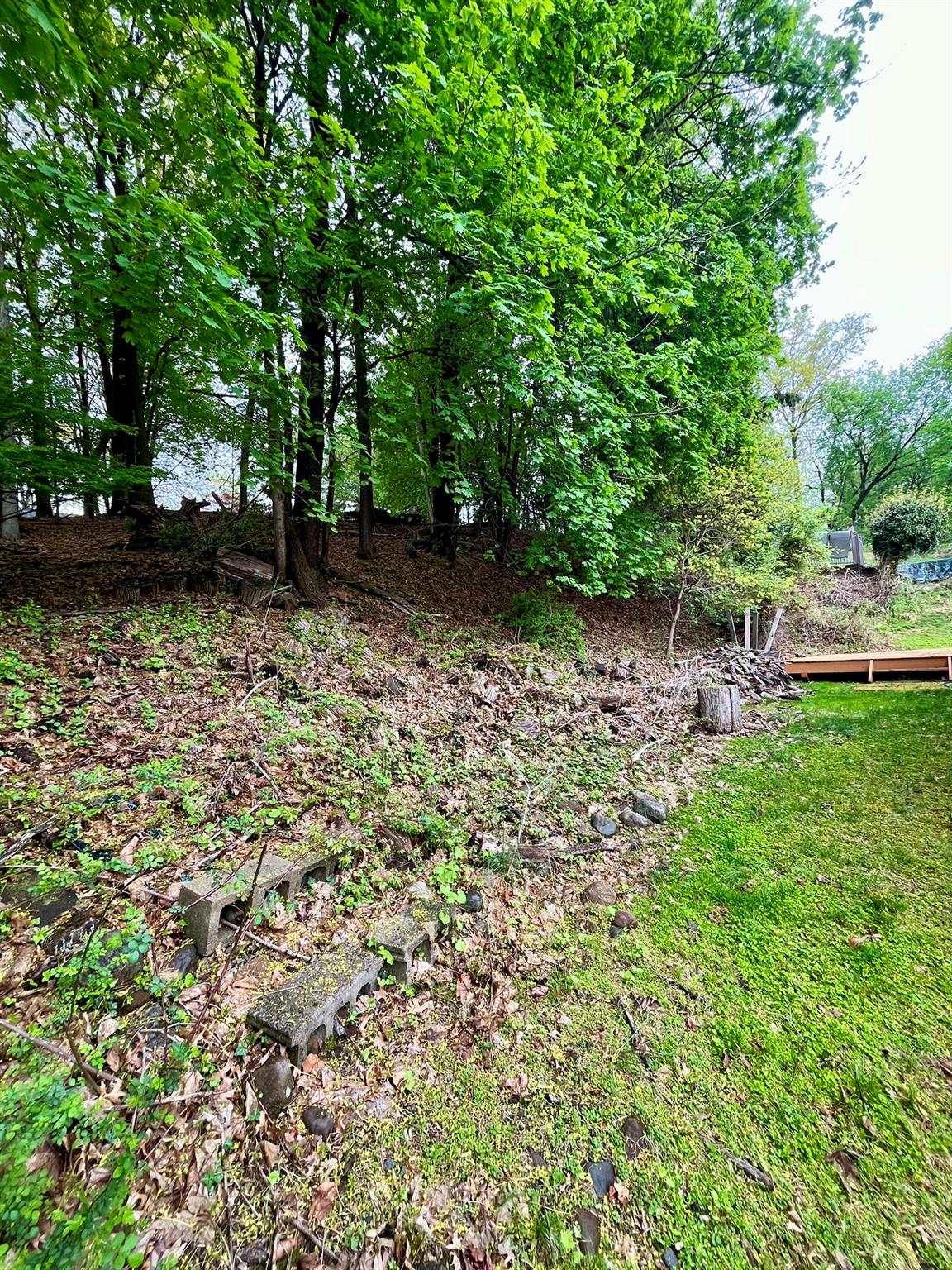 11 Green Hill Court, Nanuet, New York image 28