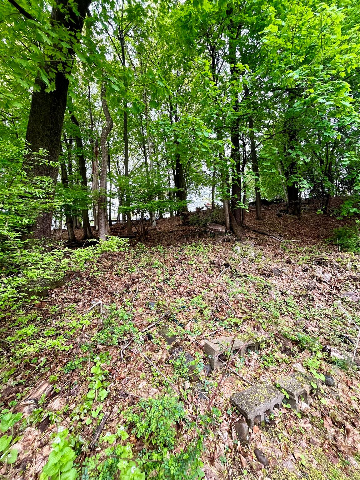11 Green Hill Court, Nanuet, New York image 29