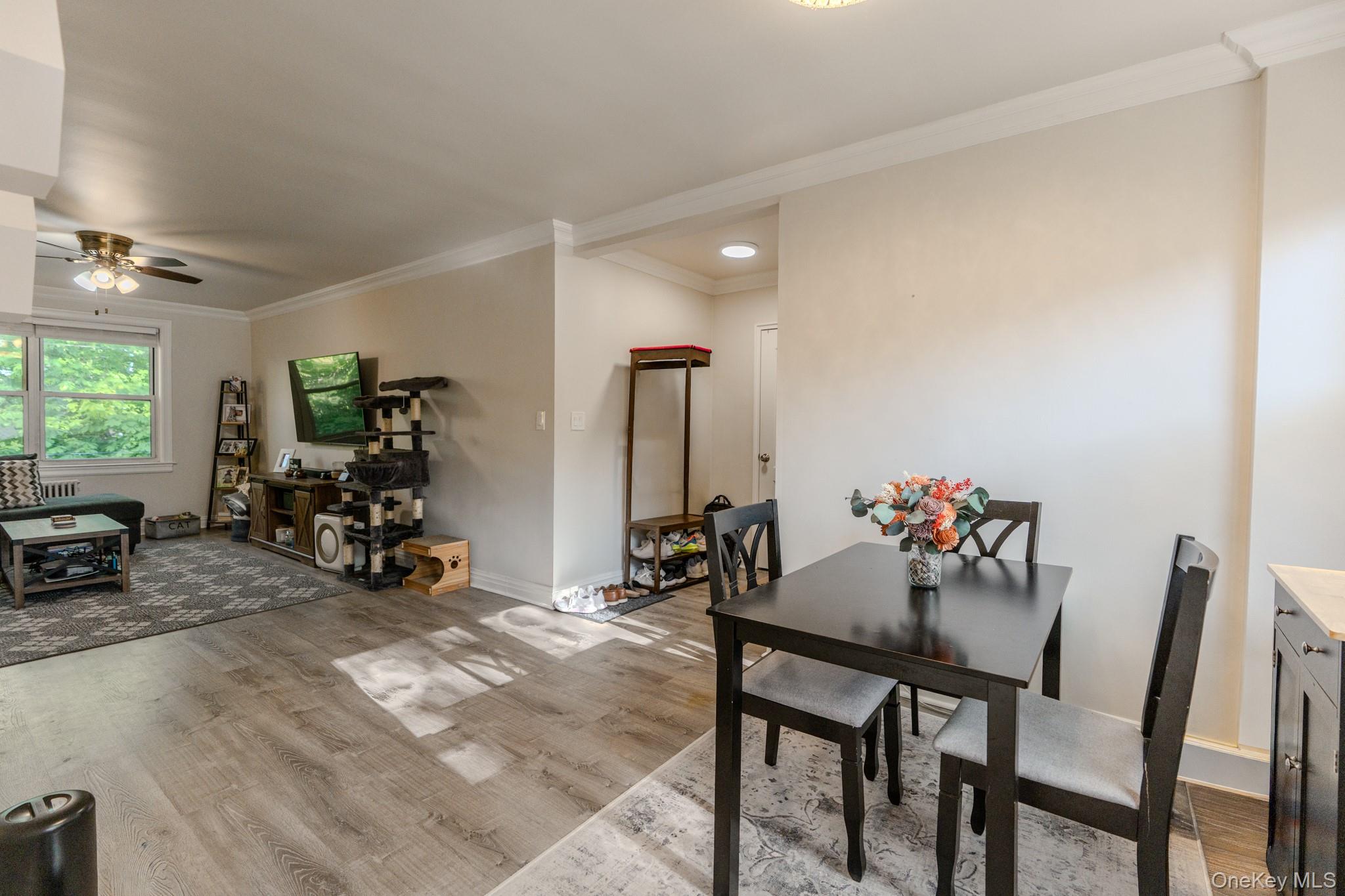 17 Edwards St 2A