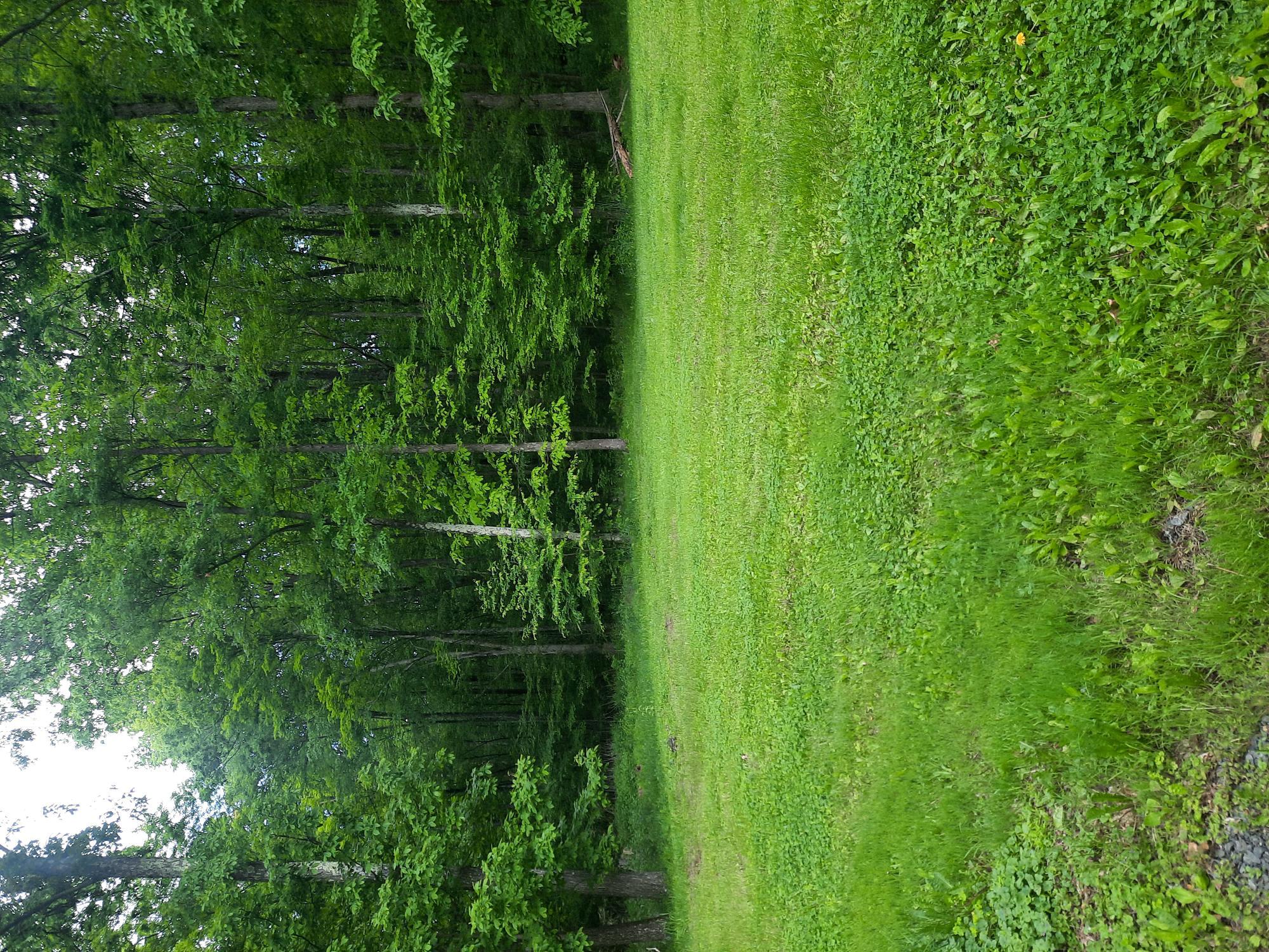 496 Minisink Turnpike, Port Jervis, New York image 7