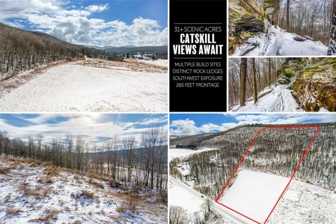 Vacant Land For Sale - Betty Brook Road<br/> Delaware County, Bloomville, NY 13842
