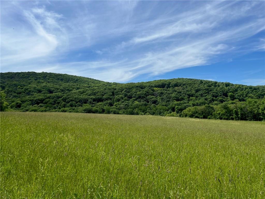 Perrys Corners Road, Amenia, New York image 8