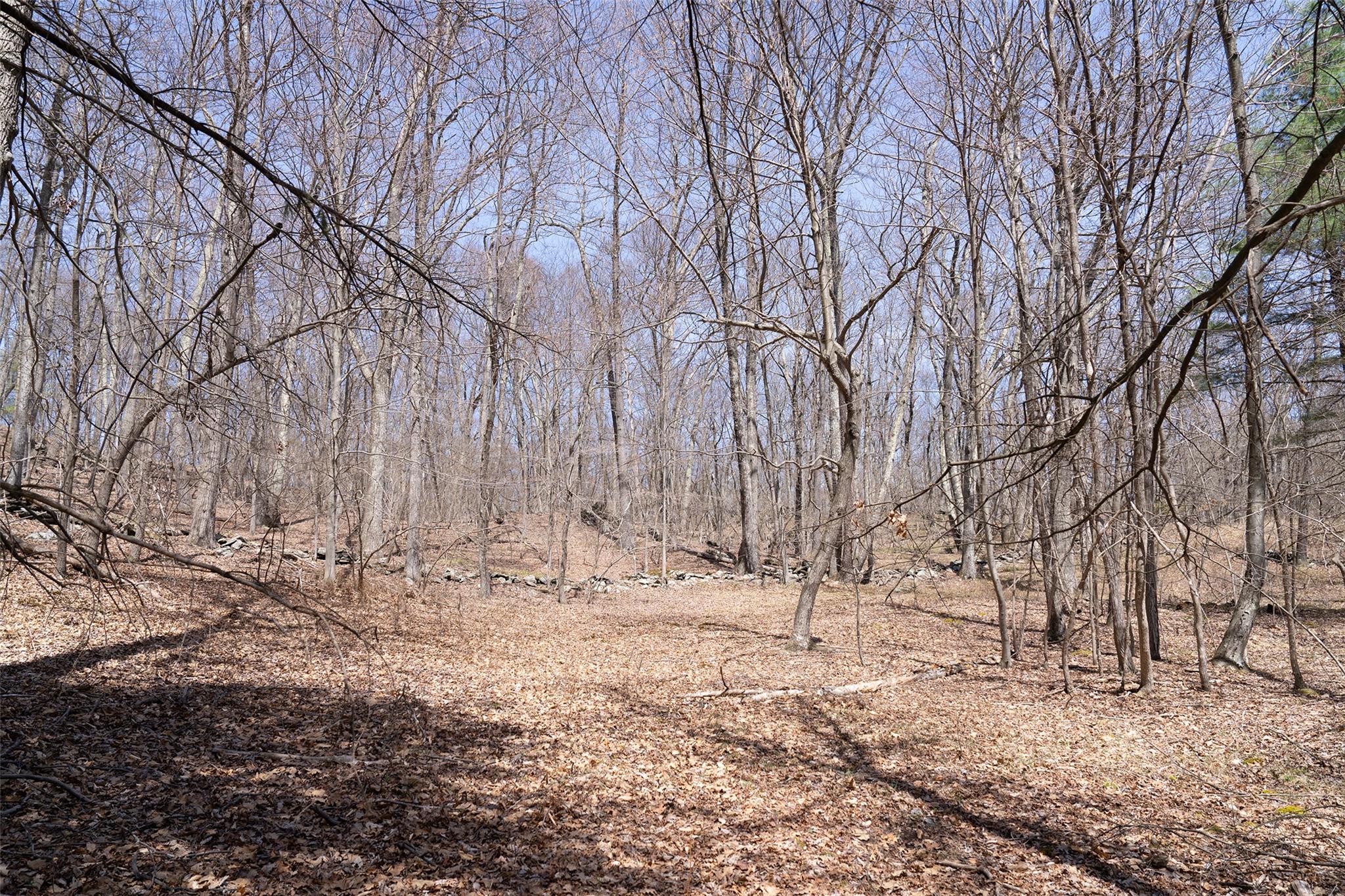 TBD Olsen Road, Red Hook, New York image 10
