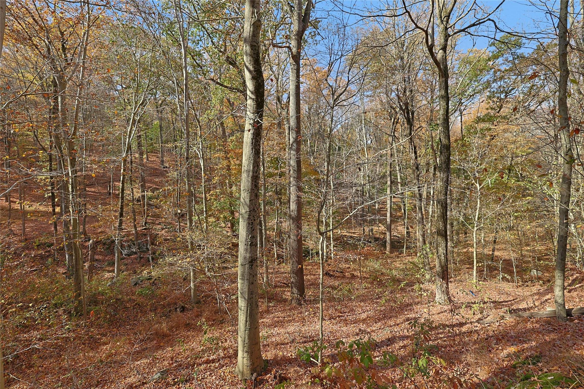 64 Stornowaye Street, Chappaqua, New York image 32