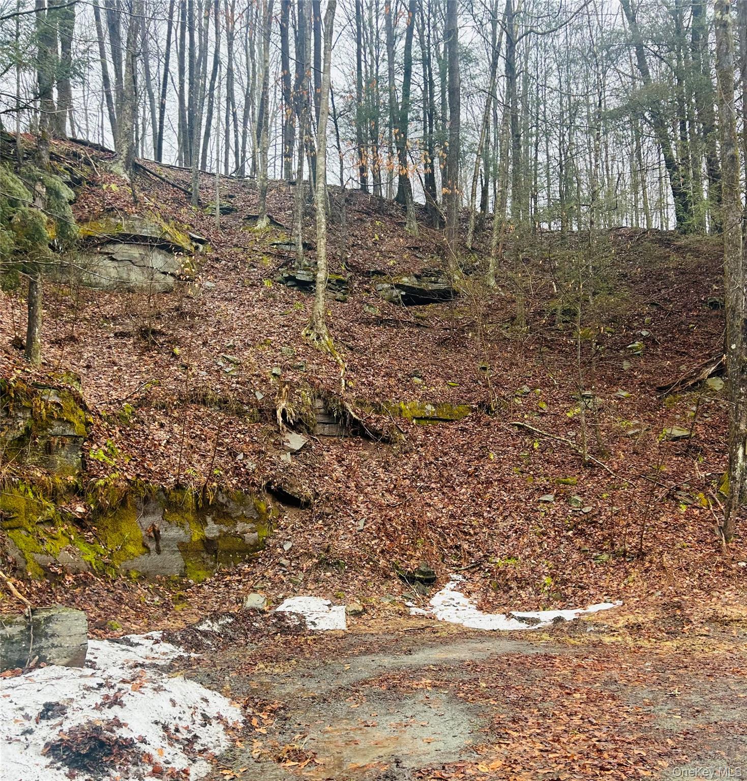 395 Back Shandelee Road