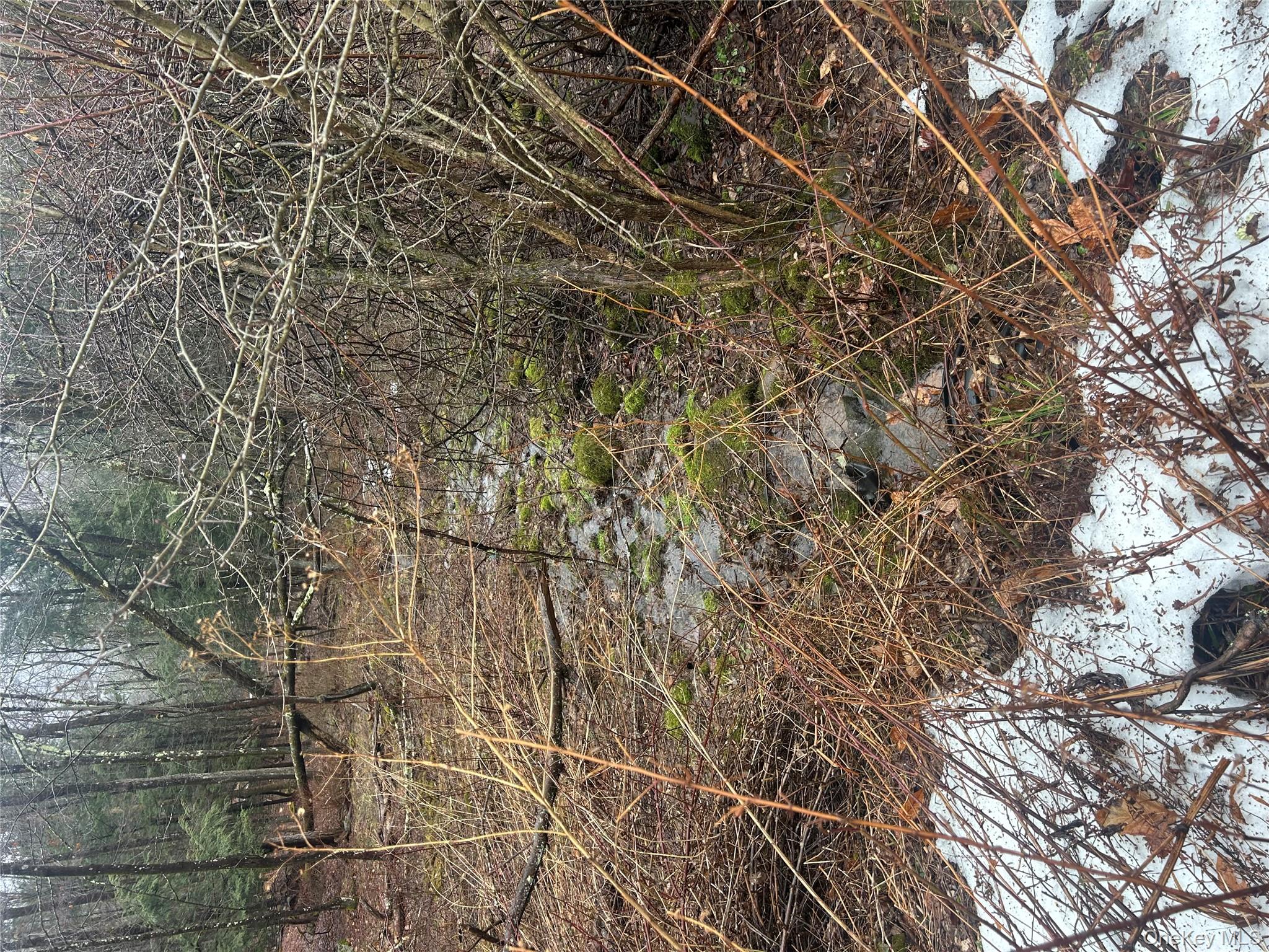 395 Back Shandelee Road