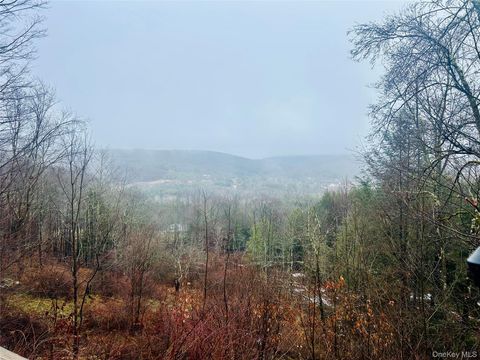 Mobile Home For Sale - 395 Back Shandelee Road<br/> Livingston Manor, NY 12758