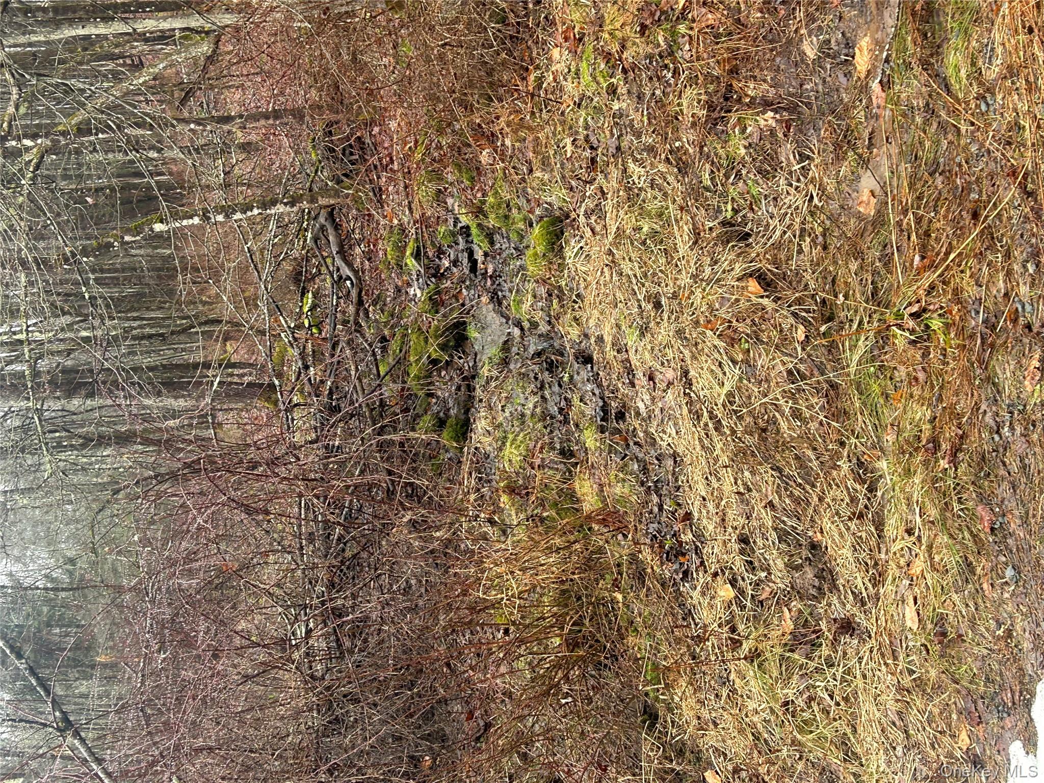 395 Back Shandelee Road