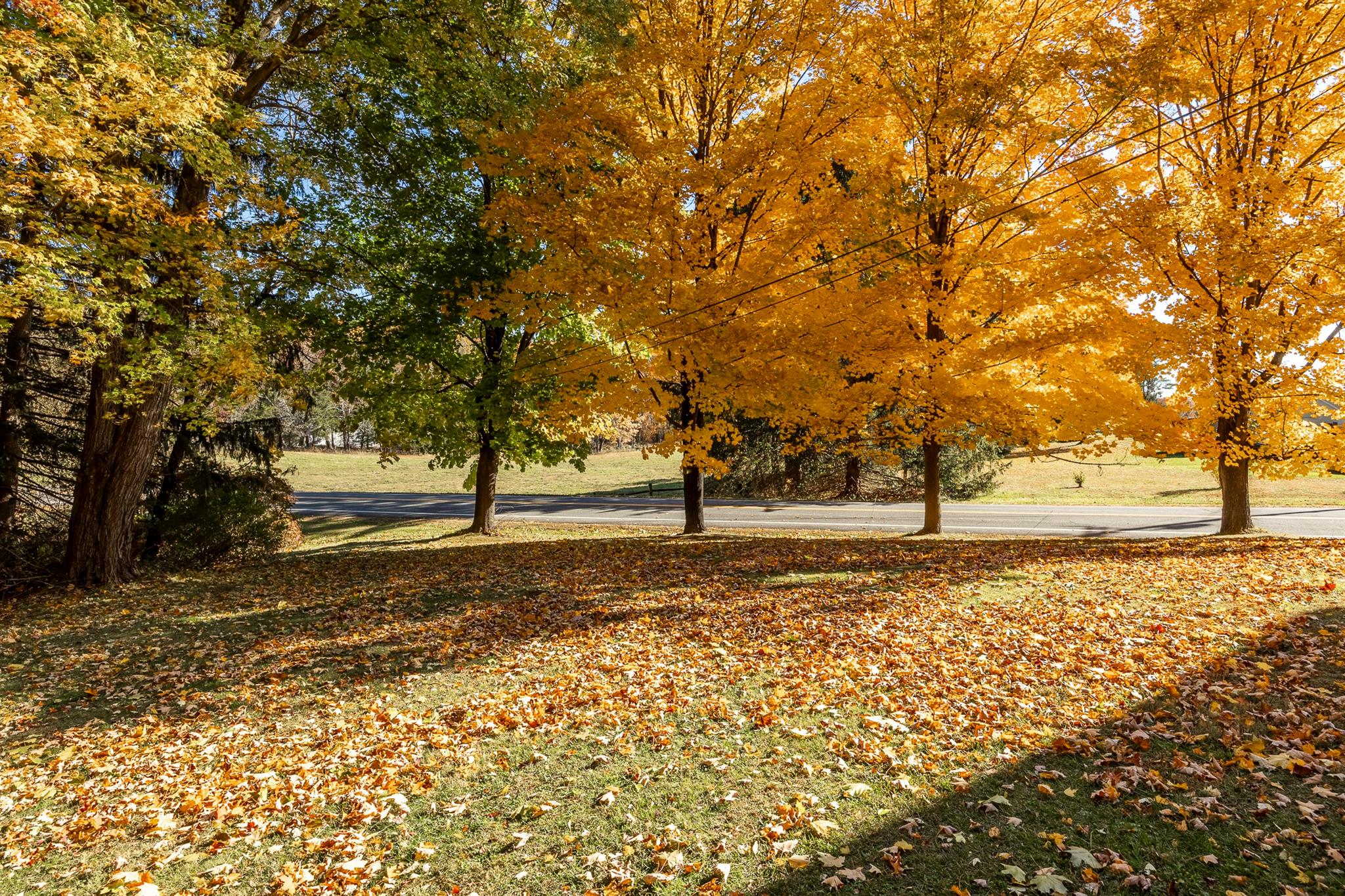 1229 Route 22, Ghent, New York image 25