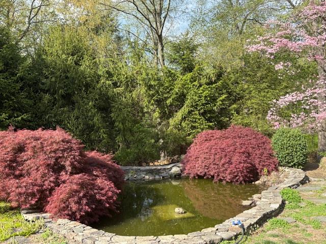 22 Van Rensselaer Road, Katonah, New York image 27