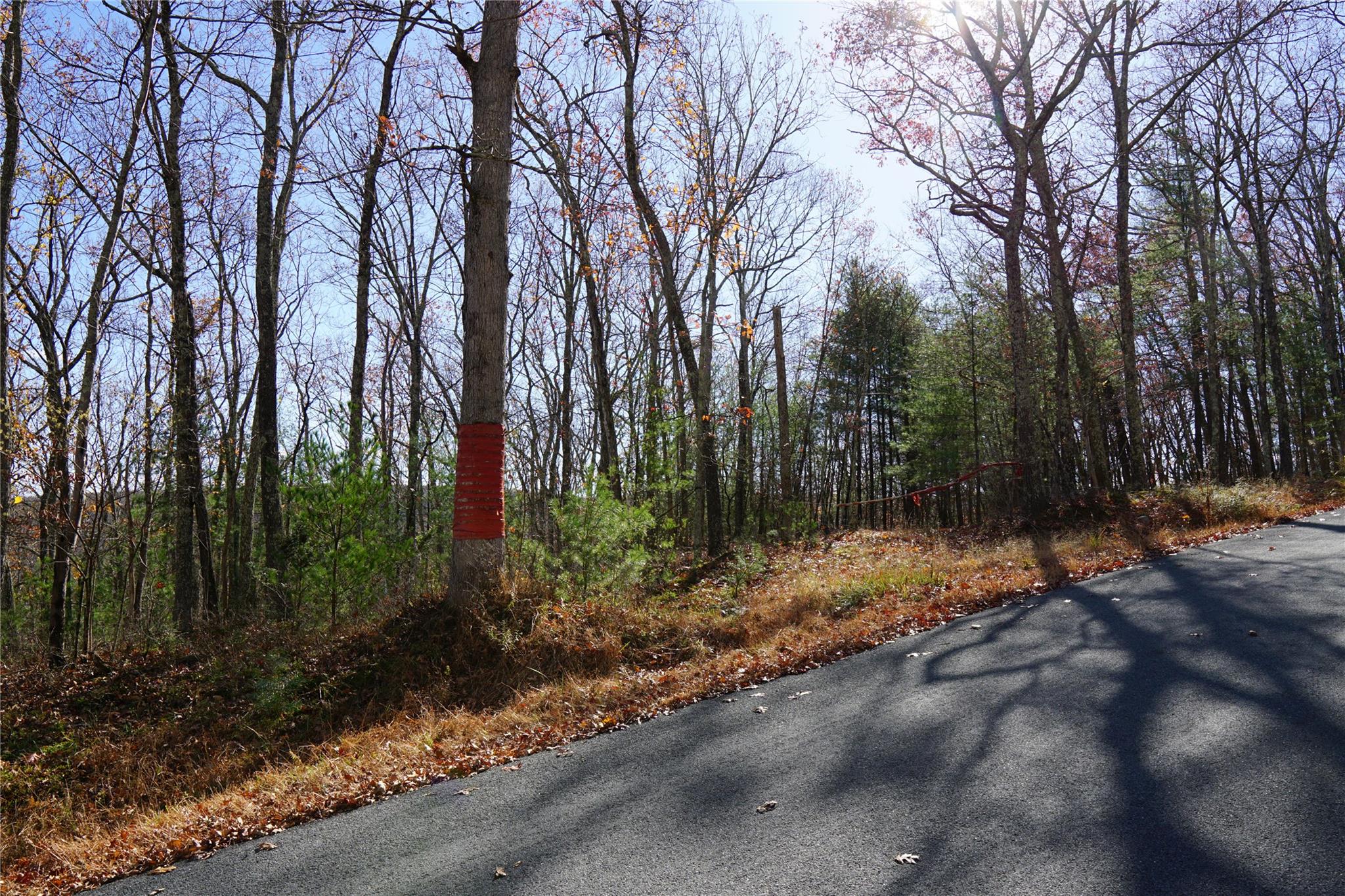 Caskey Road, Glen Spey, New York image 1