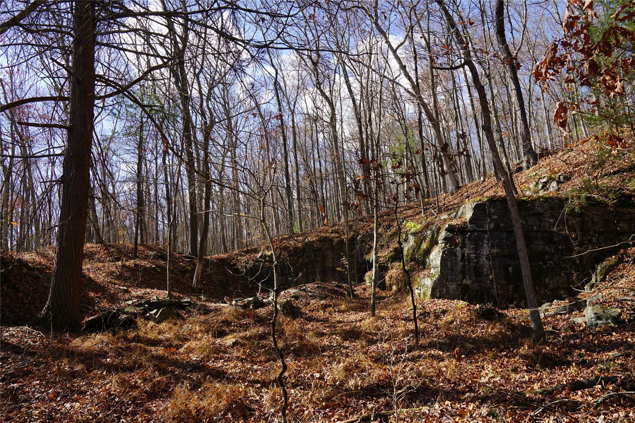 Caskey Road, Glen Spey, New York image 16